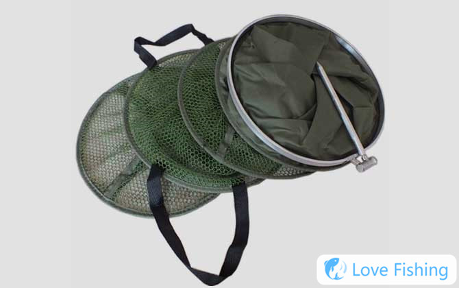 Fish Protection