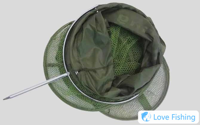 Fish Protection