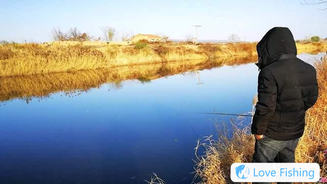 Can You Catch Other Fish In Winter Besides Crucian Carp And