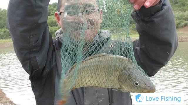 What to do if there are too many crucian carp fishes in winter__ Can crucian carp fishes in winter_ Can crucian carp fishes in winter_ Can crucian carp fishes in winter?