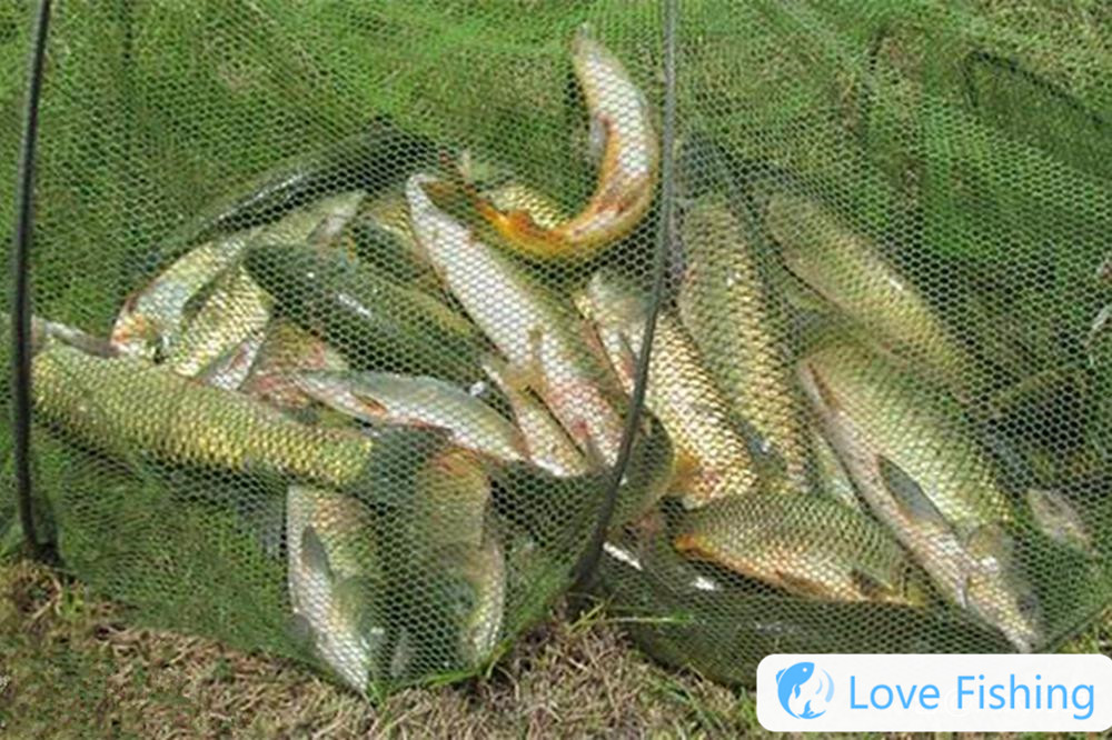 Several methods and explanations of fishing__A variety of fishing skills