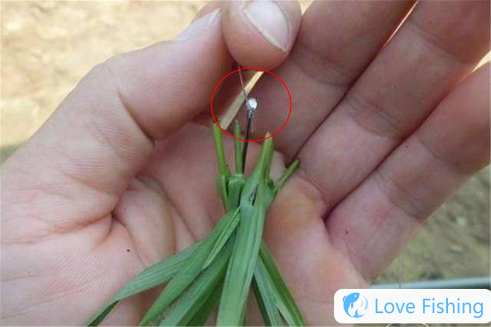 Various fishing skills__A variety of fishing methods and explanations of fishing