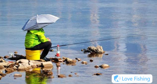 Spring grass carp bream fishing skills_Changde Yuanjiang bream fishing skills_