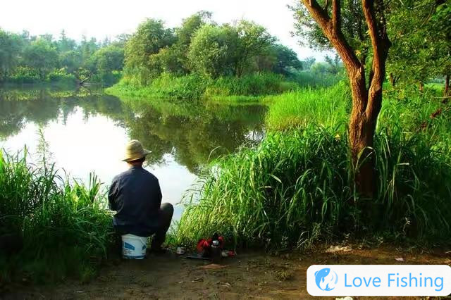 Spring grass carp bream fishing skills__Changde Yuanjiang bream fishing skills_Changde Yuanjiang bream fishing skills