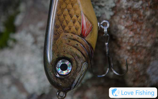 Luya Fishing