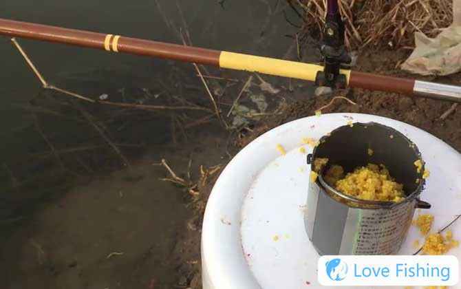What Does Fishing And Making A Nest Mean?