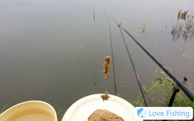 Fishing