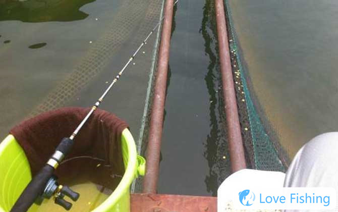 Fishing