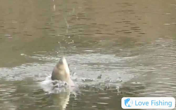 Taiwan fishing