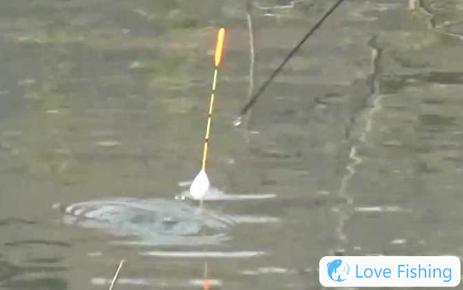 Taiwan fishing