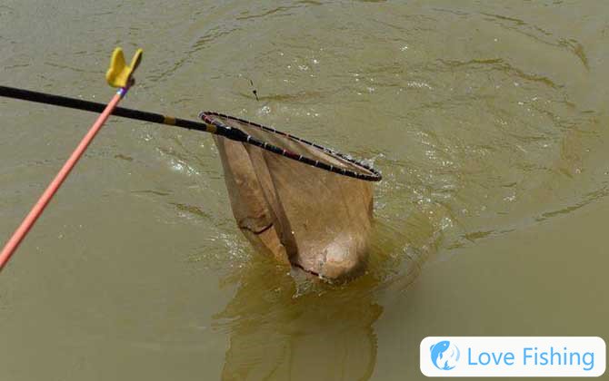 Taiwan fishing