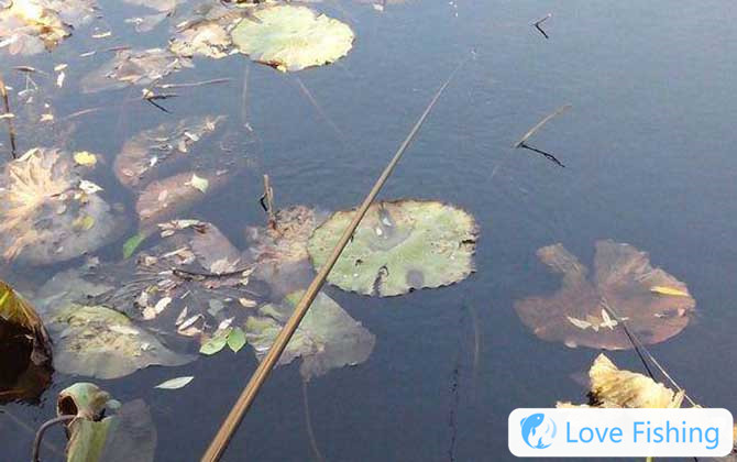 Traditional Fishing