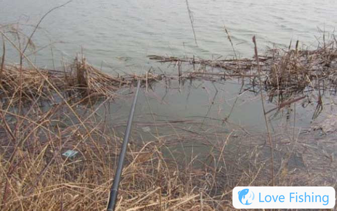 Traditional Fishing