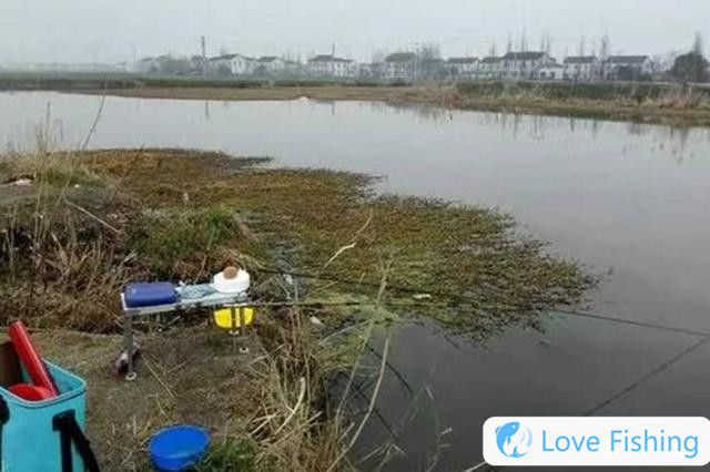 In mid-spring, 4 kinds of aquatic grass terrain are the first choice, all natural fish nests
