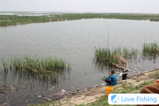 In mid-spring, 4 kinds of aquatic grass terrain are the first choice, all natural fish nests