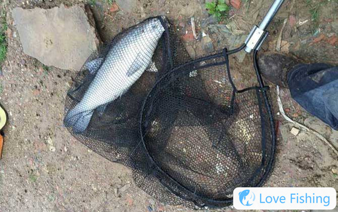 What Is The Difference Between Traditional Fishing 