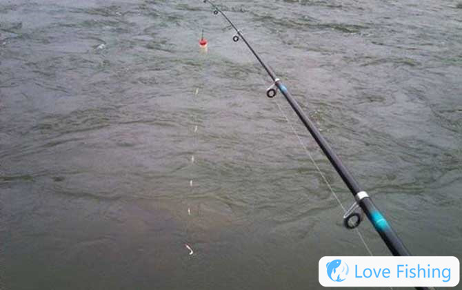 Taiwanese fishing