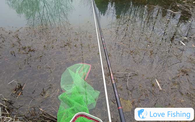 Why Are There Fewer People Fishing In Taiwan?