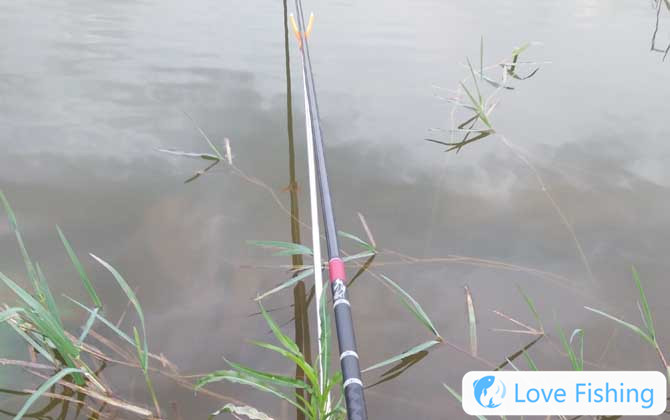 Taiwan Fishing