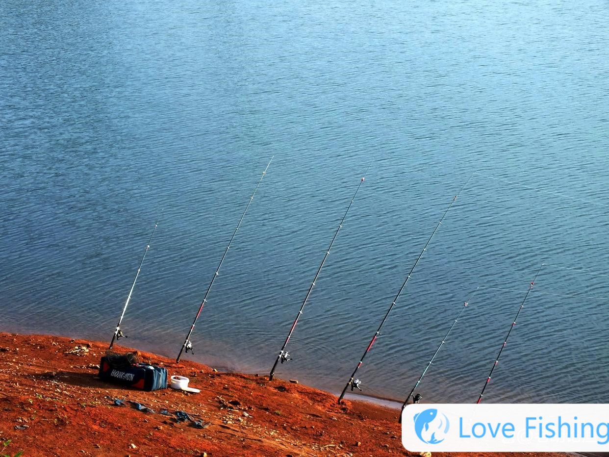 _Fishing skills complete wild fishing_Practical wild fishing methods