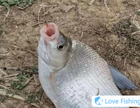 How long is the long rod for reservoir fishing or short rod__How long is the hand rod for fishing in spring reservoir?