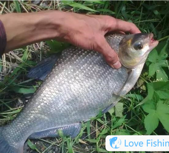 How long is the long rod for reservoir fishing or short rod__How long is the hand rod for fishing in spring reservoir?