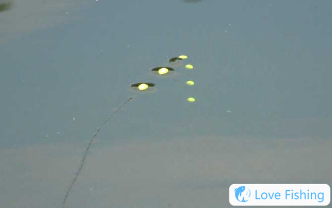 What Is Traditional Fishing And What Is Taiwanese Fishing?