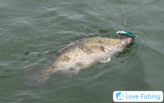 <b>Why Do Fishermen Hate Lujan?</b>