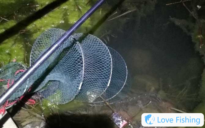 Wild fishing