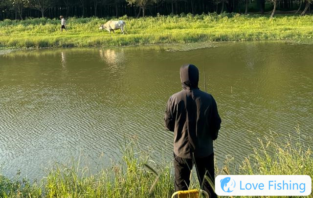 What Should I Do When Fishing In Wild, Blocking Thi