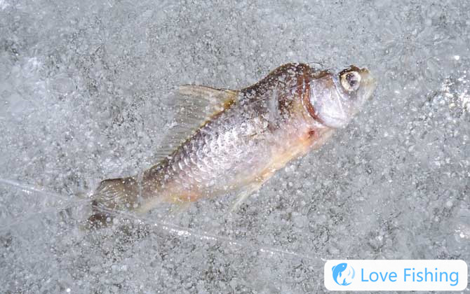 Ice fishing