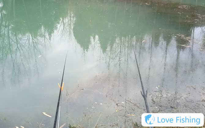 Fishing