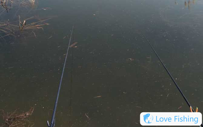 Fishing