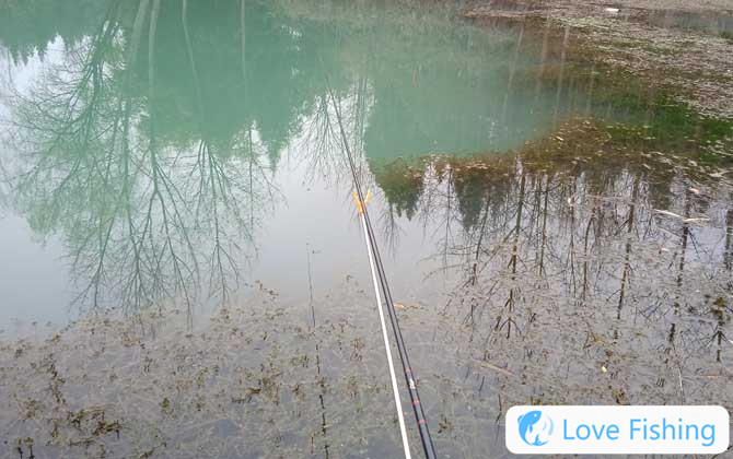 Fishing
