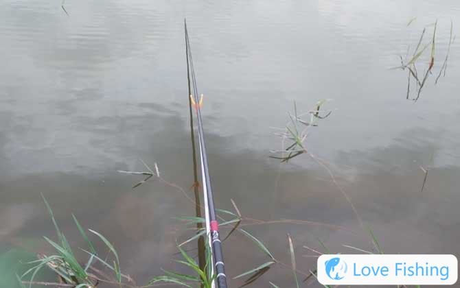 Fishing