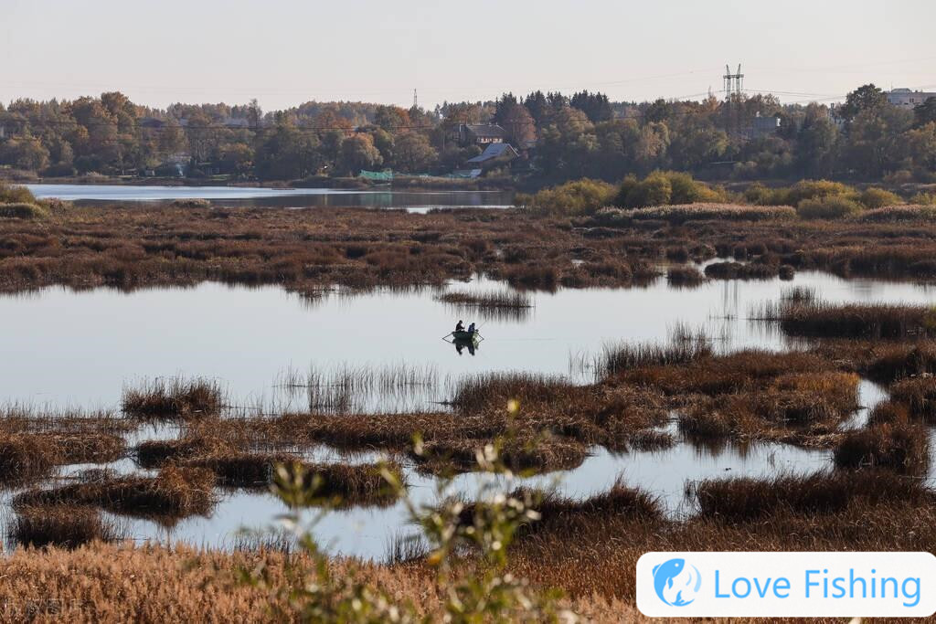 A Large-scale Inventory Of Good Fishing Species In Autumn. I