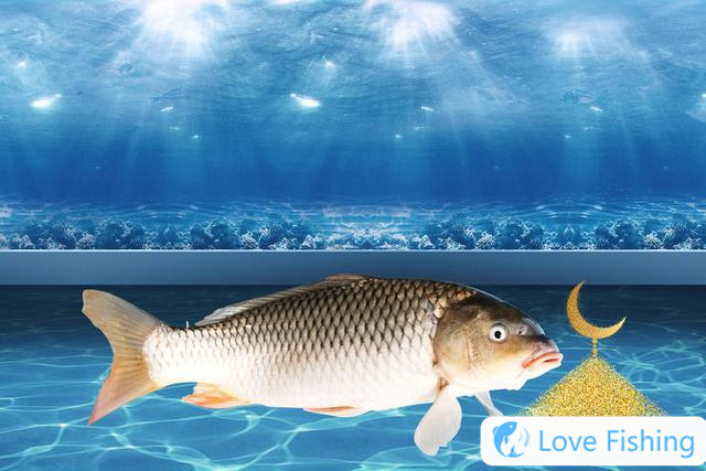16-character Formula For Fishing Bait, So That Good Bait Can