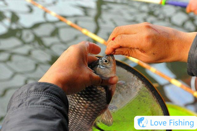 16-character formula for fishing bait, so that good bait can be used to achieve results