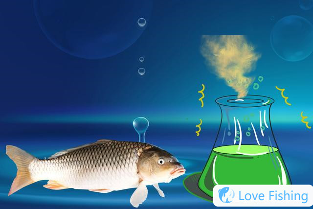 How To Catch Slippery Carp? 5 Foraging Characteristics Of Sl