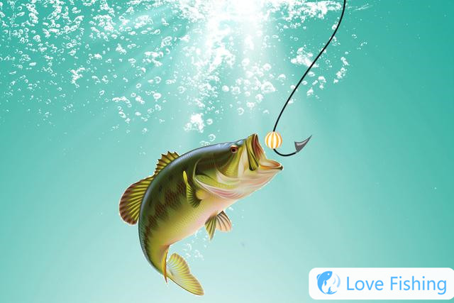How to catch slippery carp? 5 foraging characteristics of slip-mouth carp