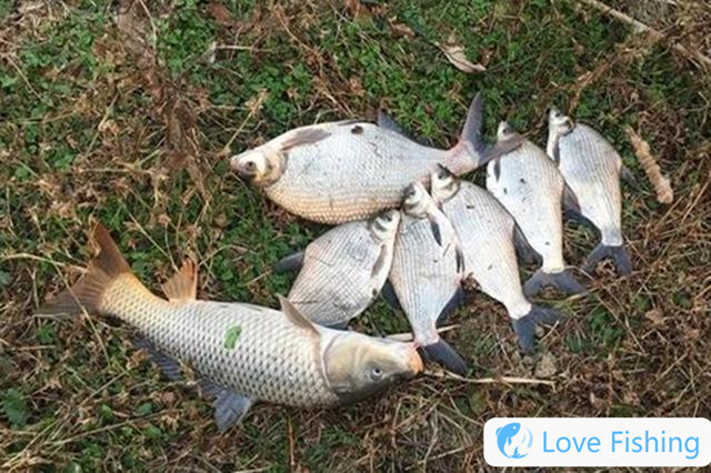 Wild Fishing Position Selection Skills: Choose Different &qu