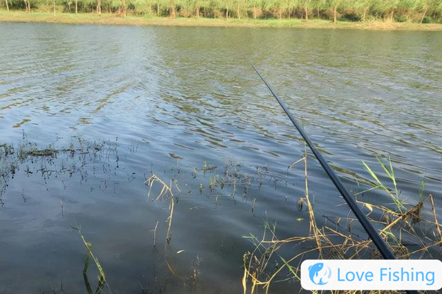 Wild fishing position selection skills: Choose different "directions" affect how much the fish get