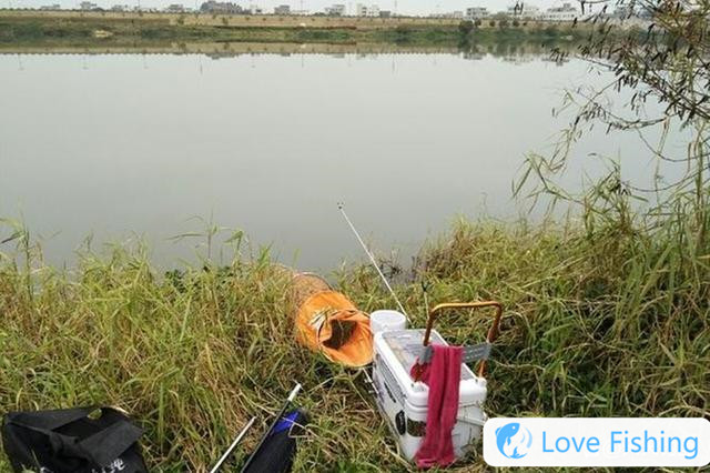 Wild fishing position selection skills: Choose different "directions" affect how much the fish get