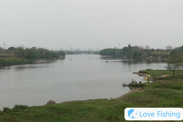 In the spring wild fishing, find 4 classic fishing trails, and it is the easiest to catch big carp