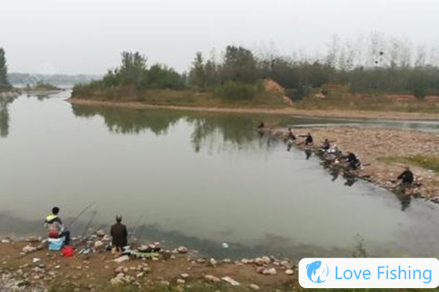 In the spring wild fishing, find 4 classic fishing trails, and it is the easiest to catch big carp
