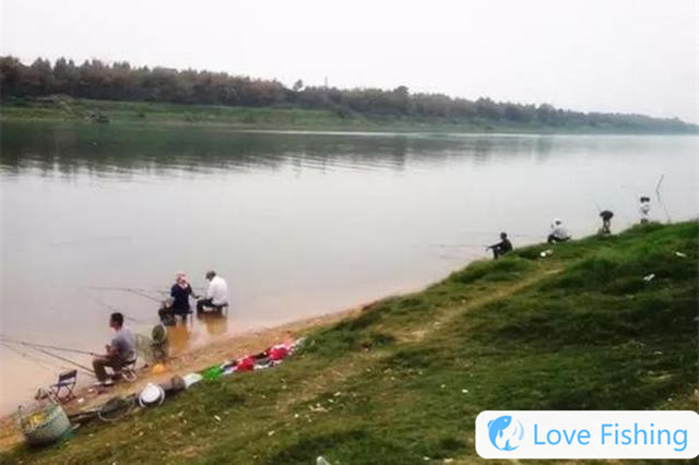 In the spring wild fishing, find 4 classic fishing trails, and it is the easiest to catch big carp