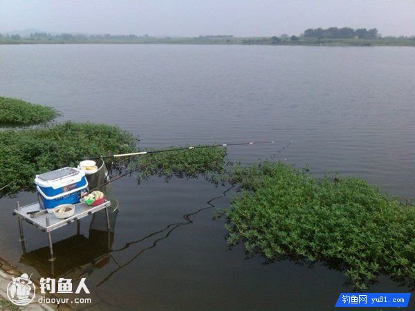 Selection Of Fishing Spots, Fishing Gears And Fishi