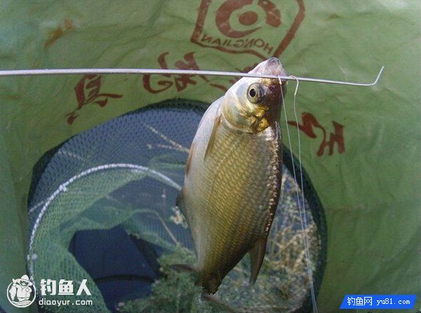 How to choose fishing spots for spring fishing_What are the best fishing for spring fishing_