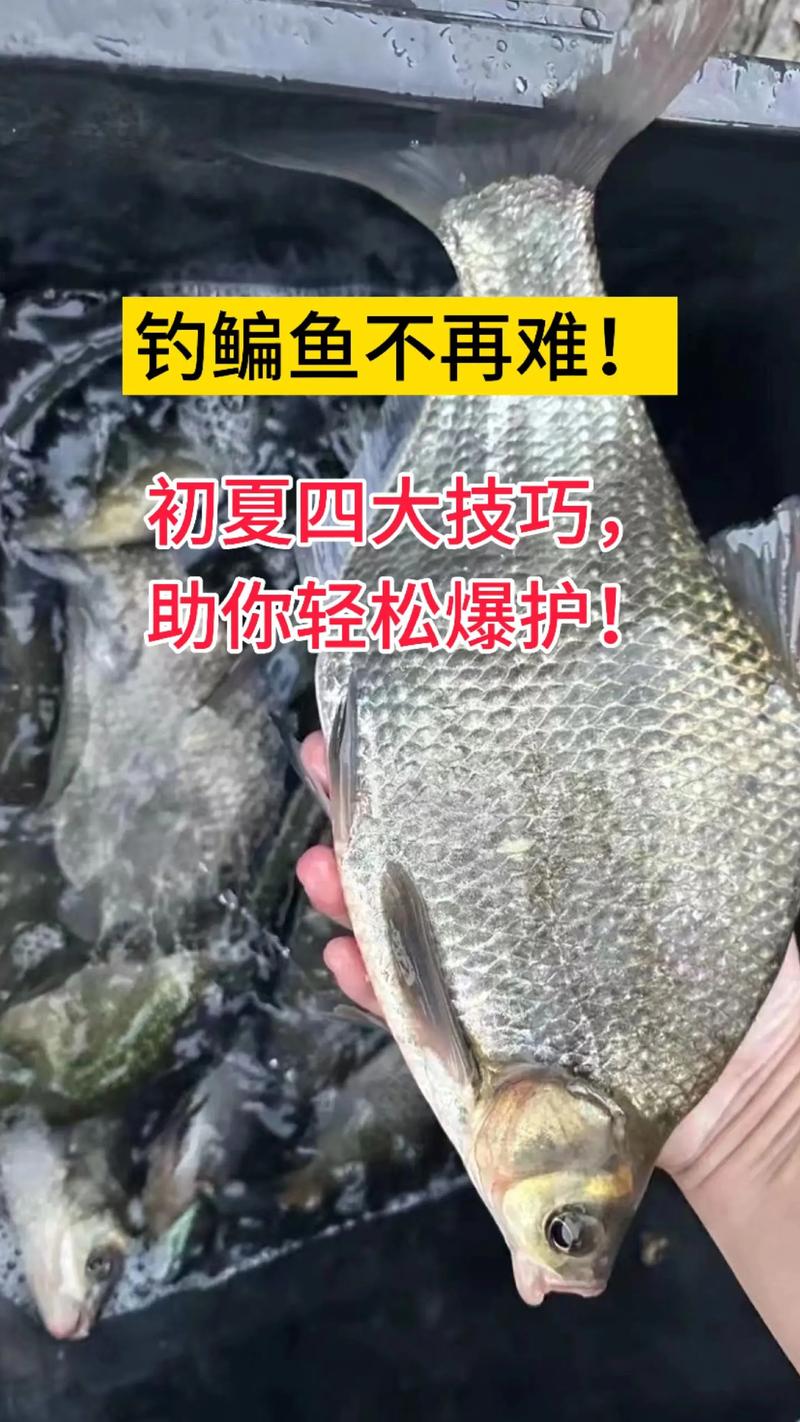 Complete Explanation Of The Skills Of Fishing Bream