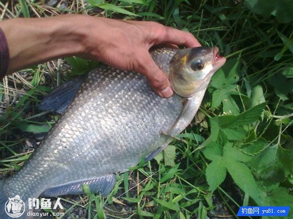 Techniques For Fishing In Autumn And Strengthening Use Of Ea